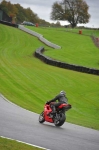 Motorcycle-action-photographs;Trackday-digital-images;event-digital-images;eventdigitalimages;no-limits-trackday;oulton-park;oulton-park-circuit-cheshire;oulton-park-photographs;peter-wileman-photography;trackday;trackday-photos