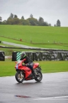 Motorcycle-action-photographs;Trackday-digital-images;event-digital-images;eventdigitalimages;no-limits-trackday;oulton-park;oulton-park-circuit-cheshire;oulton-park-photographs;peter-wileman-photography;trackday;trackday-photos