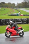 Motorcycle-action-photographs;Trackday-digital-images;event-digital-images;eventdigitalimages;no-limits-trackday;oulton-park;oulton-park-circuit-cheshire;oulton-park-photographs;peter-wileman-photography;trackday;trackday-photos