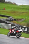 Motorcycle-action-photographs;Trackday-digital-images;event-digital-images;eventdigitalimages;no-limits-trackday;oulton-park;oulton-park-circuit-cheshire;oulton-park-photographs;peter-wileman-photography;trackday;trackday-photos
