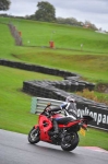 Motorcycle-action-photographs;Trackday-digital-images;event-digital-images;eventdigitalimages;no-limits-trackday;oulton-park;oulton-park-circuit-cheshire;oulton-park-photographs;peter-wileman-photography;trackday;trackday-photos
