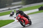 Motorcycle-action-photographs;Trackday-digital-images;event-digital-images;eventdigitalimages;no-limits-trackday;oulton-park;oulton-park-circuit-cheshire;oulton-park-photographs;peter-wileman-photography;trackday;trackday-photos