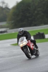 Motorcycle-action-photographs;Trackday-digital-images;event-digital-images;eventdigitalimages;no-limits-trackday;oulton-park;oulton-park-circuit-cheshire;oulton-park-photographs;peter-wileman-photography;trackday;trackday-photos
