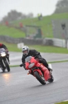 Motorcycle-action-photographs;Trackday-digital-images;event-digital-images;eventdigitalimages;no-limits-trackday;oulton-park;oulton-park-circuit-cheshire;oulton-park-photographs;peter-wileman-photography;trackday;trackday-photos