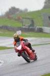 Motorcycle-action-photographs;Trackday-digital-images;event-digital-images;eventdigitalimages;no-limits-trackday;oulton-park;oulton-park-circuit-cheshire;oulton-park-photographs;peter-wileman-photography;trackday;trackday-photos