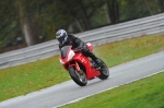Motorcycle-action-photographs;Trackday-digital-images;event-digital-images;eventdigitalimages;no-limits-trackday;oulton-park;oulton-park-circuit-cheshire;oulton-park-photographs;peter-wileman-photography;trackday;trackday-photos