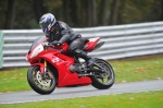 Motorcycle-action-photographs;Trackday-digital-images;event-digital-images;eventdigitalimages;no-limits-trackday;oulton-park;oulton-park-circuit-cheshire;oulton-park-photographs;peter-wileman-photography;trackday;trackday-photos