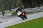 Motorcycle-action-photographs;Trackday-digital-images;event-digital-images;eventdigitalimages;no-limits-trackday;oulton-park;oulton-park-circuit-cheshire;oulton-park-photographs;peter-wileman-photography;trackday;trackday-photos