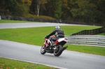 Motorcycle-action-photographs;Trackday-digital-images;event-digital-images;eventdigitalimages;no-limits-trackday;oulton-park;oulton-park-circuit-cheshire;oulton-park-photographs;peter-wileman-photography;trackday;trackday-photos