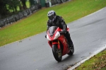 Motorcycle-action-photographs;Trackday-digital-images;event-digital-images;eventdigitalimages;no-limits-trackday;oulton-park;oulton-park-circuit-cheshire;oulton-park-photographs;peter-wileman-photography;trackday;trackday-photos