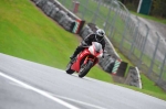 Motorcycle-action-photographs;Trackday-digital-images;event-digital-images;eventdigitalimages;no-limits-trackday;oulton-park;oulton-park-circuit-cheshire;oulton-park-photographs;peter-wileman-photography;trackday;trackday-photos