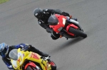 NOVICE/INTER MULTICOLOUR BIKES