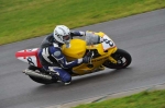 anglesey;brands-hatch;cadwell-park;croft;digital-images;donington-park;enduro;enduro-digital-images;event;event-digital-images;eventdigitalimages;mallory-park;no-limits;oulton-park;peter-wileman-photography;racing;racing-digital-images;silverstone;snetterton;trackday;trackday-digital-images;trackday-photos;vintage;vmcc-banbury-run;welsh-2-day-enduro