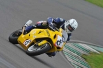 anglesey;brands-hatch;cadwell-park;croft;digital-images;donington-park;enduro;enduro-digital-images;event;event-digital-images;eventdigitalimages;mallory-park;no-limits;oulton-park;peter-wileman-photography;racing;racing-digital-images;silverstone;snetterton;trackday;trackday-digital-images;trackday-photos;vintage;vmcc-banbury-run;welsh-2-day-enduro