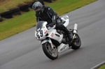anglesey;brands-hatch;cadwell-park;croft;digital-images;donington-park;enduro;enduro-digital-images;event;event-digital-images;eventdigitalimages;mallory-park;no-limits;oulton-park;peter-wileman-photography;racing;racing-digital-images;silverstone;snetterton;trackday;trackday-digital-images;trackday-photos;vintage;vmcc-banbury-run;welsh-2-day-enduro