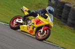 anglesey;brands-hatch;cadwell-park;croft;digital-images;donington-park;enduro;enduro-digital-images;event;event-digital-images;eventdigitalimages;mallory-park;no-limits;oulton-park;peter-wileman-photography;racing;racing-digital-images;silverstone;snetterton;trackday;trackday-digital-images;trackday-photos;vintage;vmcc-banbury-run;welsh-2-day-enduro