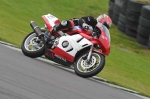 anglesey;brands-hatch;cadwell-park;croft;digital-images;donington-park;enduro;enduro-digital-images;event;event-digital-images;eventdigitalimages;mallory-park;no-limits;oulton-park;peter-wileman-photography;racing;racing-digital-images;silverstone;snetterton;trackday;trackday-digital-images;trackday-photos;vintage;vmcc-banbury-run;welsh-2-day-enduro
