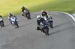 anglesey;brands-hatch;cadwell-park;croft;donington-park;enduro-digital-images;event-digital-images;eventdigitalimages;mallory;no-limits;oulton-park;peter-wileman-photography;racing-digital-images;silverstone;snetterton;trackday-digital-images;trackday-photos;welsh-2-day-enduro