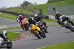 enduro-digital-images;event-digital-images;eventdigitalimages;no-limits-trackdays;oulton-no-limits-trackday;oulton-park-cheshire;oulton-trackday-photographs;peter-wileman-photography;racing-digital-images;trackday-digital-images;trackday-photos