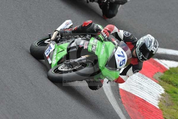 Motorcycle action photographs;cadwell;cadwell park photographs;event digital images;eventdigitalimages;motor racing louth lincolnshire;no limits trackday;peter wileman photography;trackday;trackday digital images;trackday photos