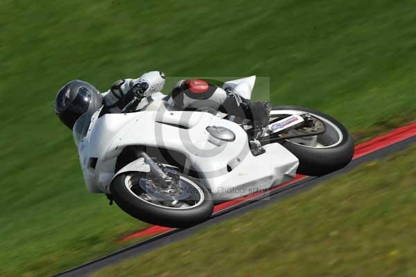 Motorcycle action photographs;cadwell;cadwell park photographs;event digital images;eventdigitalimages;motor racing louth lincolnshire;no limits trackday;peter wileman photography;trackday;trackday digital images;trackday photos