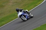Motorcycle-action-photographs;cadwell;cadwell-park-photographs;event-digital-images;eventdigitalimages;motor-racing-louth-lincolnshire;no-limits-trackday;peter-wileman-photography;trackday;trackday-digital-images;trackday-photos
