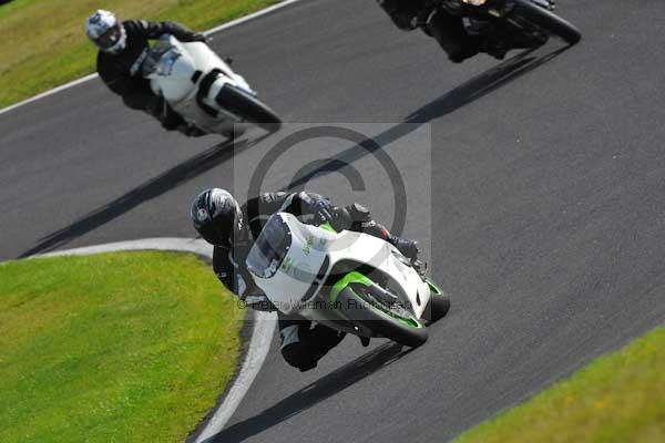 Motorcycle action photographs;cadwell;cadwell park photographs;event digital images;eventdigitalimages;motor racing louth lincolnshire;no limits trackday;peter wileman photography;trackday;trackday digital images;trackday photos