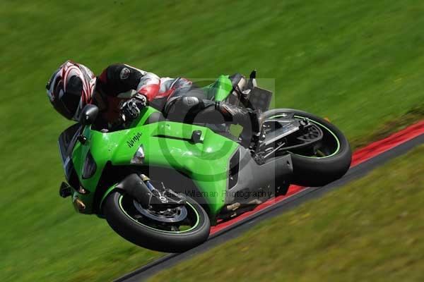 Motorcycle action photographs;cadwell;cadwell park photographs;event digital images;eventdigitalimages;motor racing louth lincolnshire;no limits trackday;peter wileman photography;trackday;trackday digital images;trackday photos