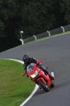 NOVICE RED/ORANGE BIKES