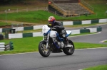 BLUE/WHITE BIKES