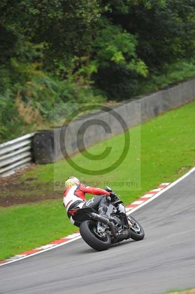 Motorcycle action photographs;Trackday digital images;brands;brands hatch photographs;event digital images;eventdigitalimages;motor racing london;no limits trackday;peter wileman photography;trackday;trackday photos