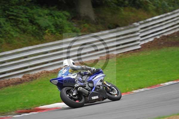 Motorcycle action photographs;Trackday digital images;brands;brands hatch photographs;event digital images;eventdigitalimages;motor racing london;no limits trackday;peter wileman photography;trackday;trackday photos