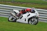 Motorcycle-action-photographs;Trackday-digital-images;brands;brands-hatch-photographs;event-digital-images;eventdigitalimages;motor-racing-london;no-limits-trackday;peter-wileman-photography;trackday;trackday-photos