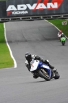 Motorcycle-action-photographs;Trackday-digital-images;brands;brands-hatch-photographs;event-digital-images;eventdigitalimages;motor-racing-london;no-limits-trackday;peter-wileman-photography;trackday;trackday-photos