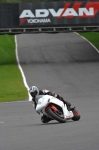Motorcycle-action-photographs;Trackday-digital-images;brands;brands-hatch-photographs;event-digital-images;eventdigitalimages;motor-racing-london;no-limits-trackday;peter-wileman-photography;trackday;trackday-photos