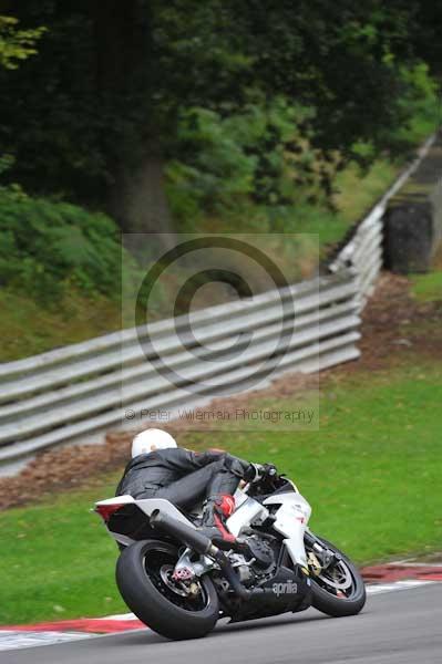 Motorcycle action photographs;Trackday digital images;brands;brands hatch photographs;event digital images;eventdigitalimages;motor racing london;no limits trackday;peter wileman photography;trackday;trackday photos