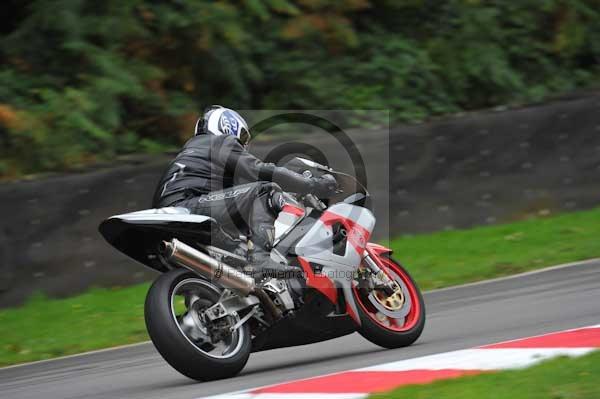 Motorcycle action photographs;Trackday digital images;brands;brands hatch photographs;event digital images;eventdigitalimages;motor racing london;no limits trackday;peter wileman photography;trackday;trackday photos