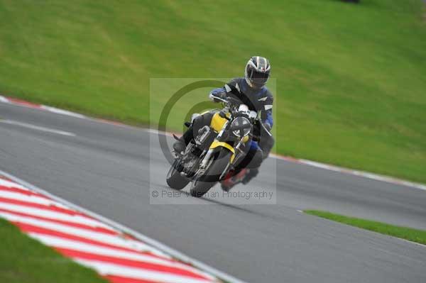 Motorcycle action photographs;Trackday digital images;brands;brands hatch photographs;event digital images;eventdigitalimages;motor racing london;no limits trackday;peter wileman photography;trackday;trackday photos