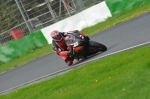 Mallory-park-Leicestershire;Mallory-park-photographs;Motorcycle-action-photographs;event-digital-images;eventdigitalimages;mallory-park;no-limits-trackday;peter-wileman-photography;trackday;trackday-digital-images;trackday-photos
