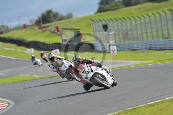 Motorcycle action photographs;Trackday digital images;event digital images;eventdigitalimages;no limits trackday;oulton park;oulton park circuit cheshire;oulton park photographs;peter wileman photography;trackday;trackday photos