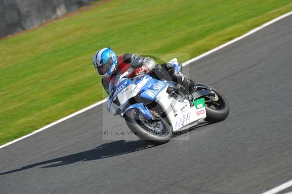 Motorcycle action photographs;Trackday digital images;event digital images;eventdigitalimages;no limits trackday;oulton park;oulton park circuit cheshire;oulton park photographs;peter wileman photography;trackday;trackday photos
