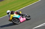 Motorcycle-action-photographs;Trackday-digital-images;event-digital-images;eventdigitalimages;no-limits-trackday;oulton-park;oulton-park-circuit-cheshire;oulton-park-photographs;peter-wileman-photography;trackday;trackday-photos