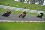 Motorcycle-action-photographs;Trackday-digital-images;event-digital-images;eventdigitalimages;no-limits-trackday;oulton-park;oulton-park-circuit-cheshire;oulton-park-photographs;peter-wileman-photography;trackday;trackday-photos