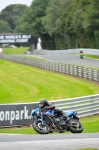Motorcycle-action-photographs;Trackday-digital-images;event-digital-images;eventdigitalimages;no-limits-trackday;oulton-park;oulton-park-circuit-cheshire;oulton-park-photographs;peter-wileman-photography;trackday;trackday-photos