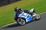 Motorcycle-action-photographs;Trackday-digital-images;event-digital-images;eventdigitalimages;no-limits-trackday;oulton-park;oulton-park-circuit-cheshire;oulton-park-photographs;peter-wileman-photography;trackday;trackday-photos
