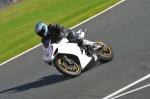 Motorcycle-action-photographs;Trackday-digital-images;event-digital-images;eventdigitalimages;no-limits-trackday;oulton-park;oulton-park-circuit-cheshire;oulton-park-photographs;peter-wileman-photography;trackday;trackday-photos