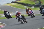 Motorcycle-action-photographs;Trackday-digital-images;event-digital-images;eventdigitalimages;no-limits-trackday;oulton-park;oulton-park-circuit-cheshire;oulton-park-photographs;peter-wileman-photography;trackday;trackday-photos