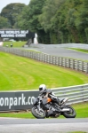 Motorcycle-action-photographs;Trackday-digital-images;event-digital-images;eventdigitalimages;no-limits-trackday;oulton-park;oulton-park-circuit-cheshire;oulton-park-photographs;peter-wileman-photography;trackday;trackday-photos