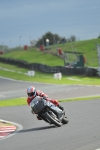 Motorcycle-action-photographs;Trackday-digital-images;event-digital-images;eventdigitalimages;no-limits-trackday;oulton-park;oulton-park-circuit-cheshire;oulton-park-photographs;peter-wileman-photography;trackday;trackday-photos