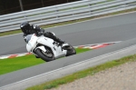 Motorcycle-action-photographs;Trackday-digital-images;event-digital-images;eventdigitalimages;no-limits-trackday;oulton-park;oulton-park-circuit-cheshire;oulton-park-photographs;peter-wileman-photography;trackday;trackday-photos
